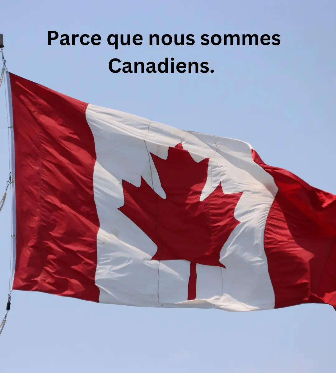 Canadian flag with "Because we are Canadians" written in French